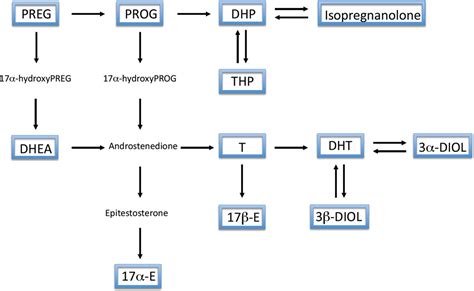 neuroactive steroids and aging.